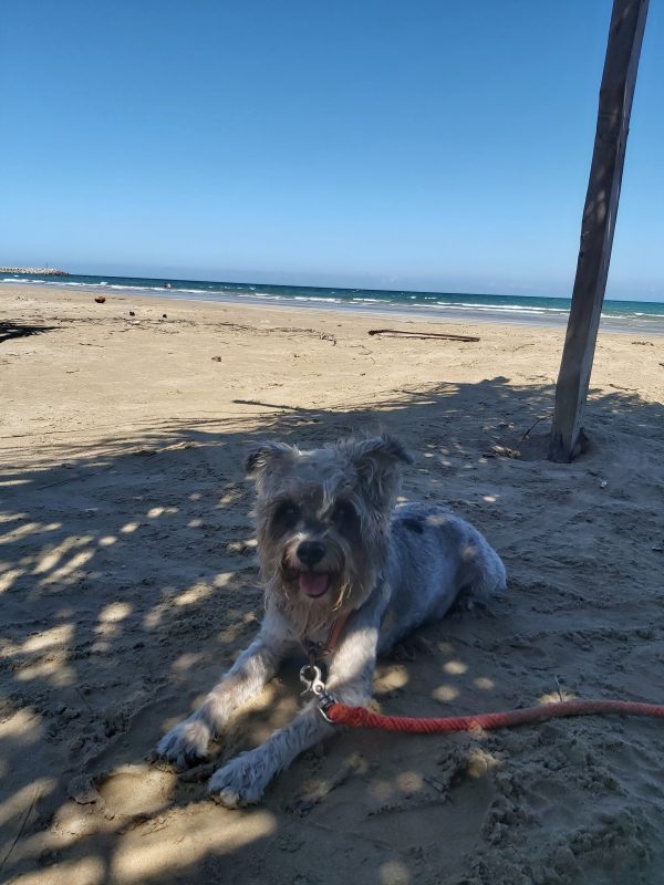 Playa Tuxpan y Tamiahua