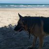 Playa Tuxpan y Tamiahua