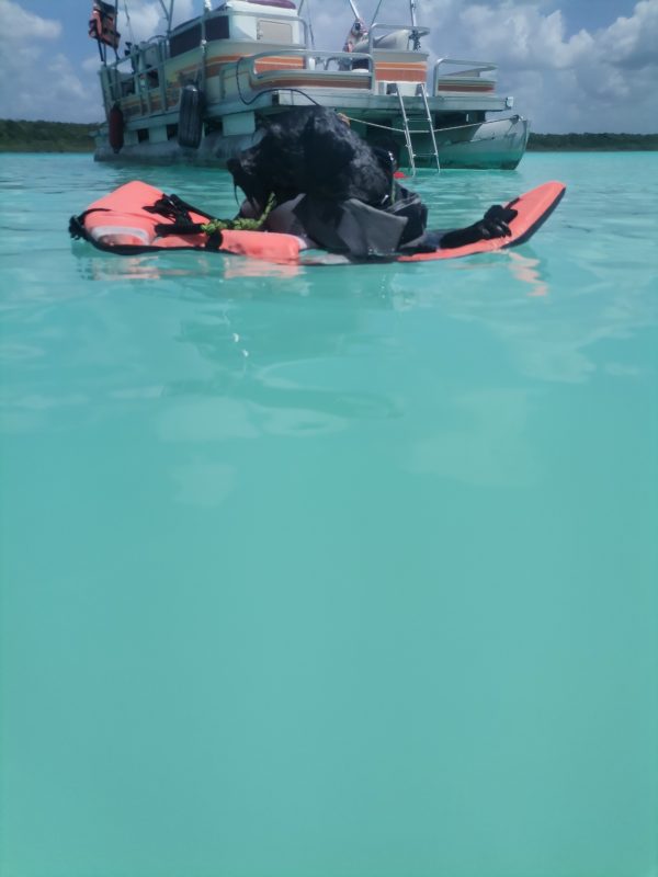 BACALAR 2 Bacalar