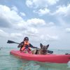 BACALAR 1 Bacalar