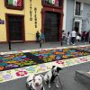 Orizaba