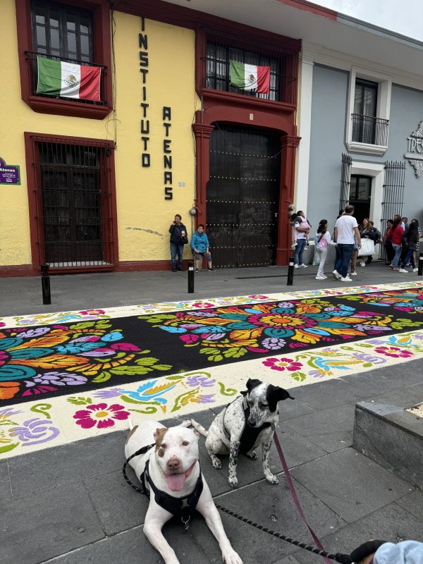 Orizaba