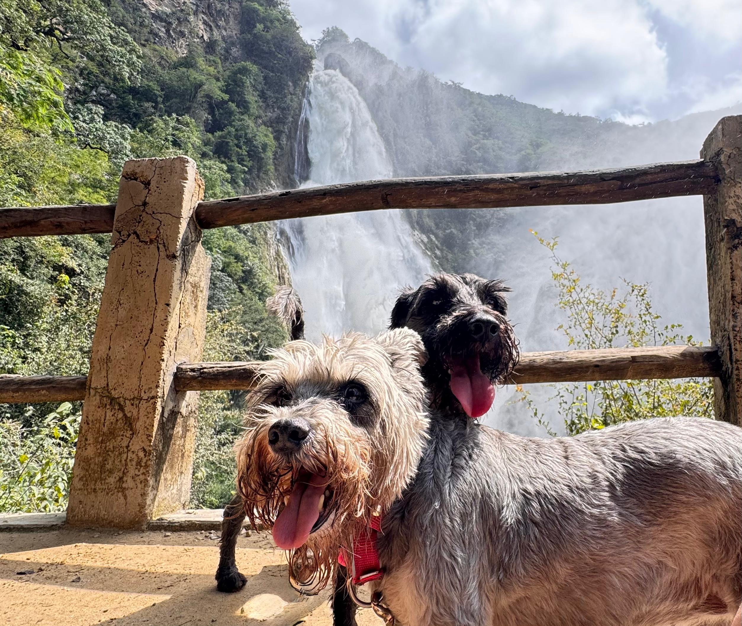 Mia y Loki, binomio viajero